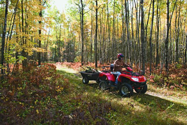 97023_large[1].jpg